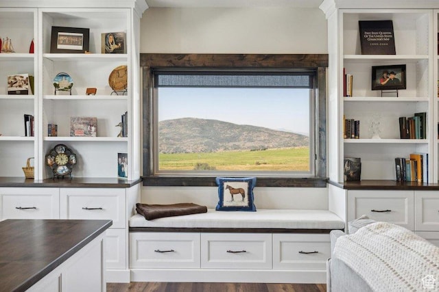 6117 Rocky Ridge Rd N, Peoa, UT 84061 - sitting room with wood-type flooring, a mountain view, and built in features