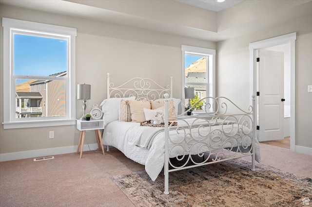 831 E 490 N Unit 143, Hyde Park, UT 84318 - view of carpeted bedroom