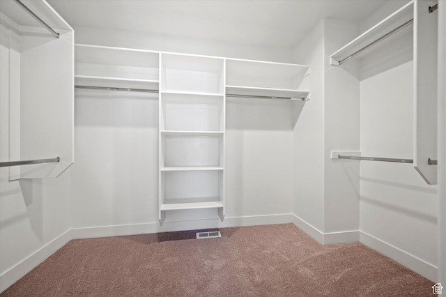 831 E 490 N Unit 143, Hyde Park, UT 84318 - walk in closet with carpet floors