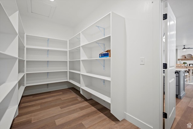 831 E 490 N Unit 143, Hyde Park, UT 84318 - view of pantry