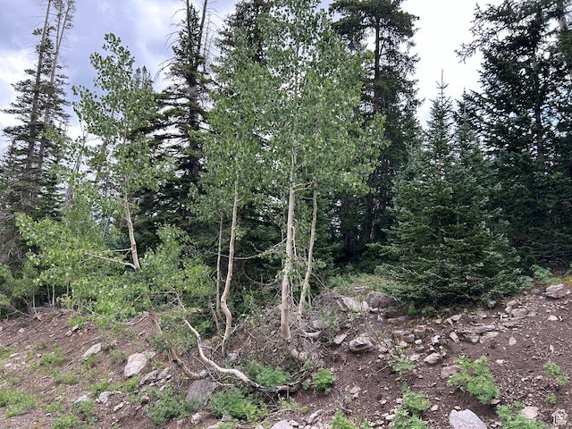 1554 Ireland Ln E, Brian Head, UT 84719 - view of landscape