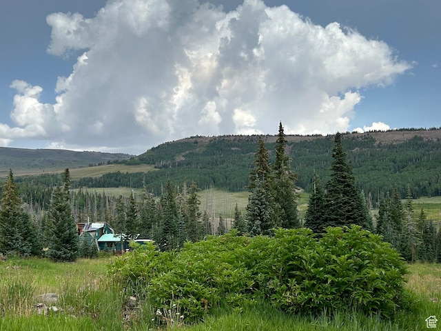 1554 Ireland Ln E, Brian Head, UT 84719 - view of mountain feature