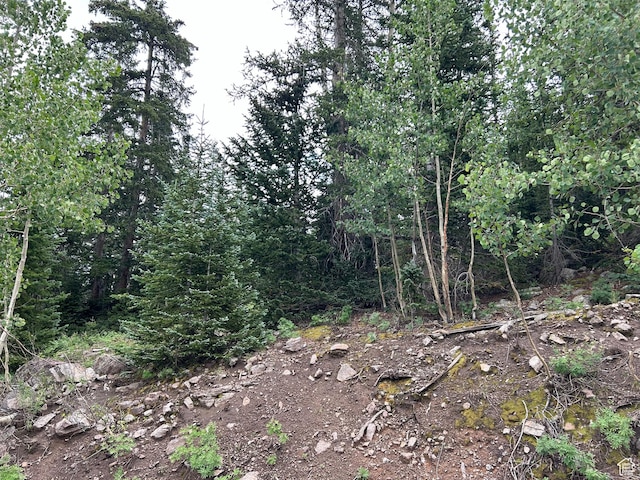 1554 Ireland Ln E, Brian Head, UT 84719 - view of landscape