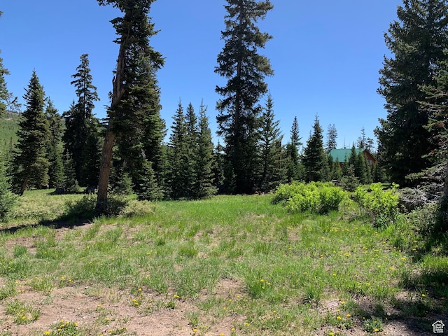 1554 Ireland Ln E, Brian Head, UT 84719 - view of landscape
