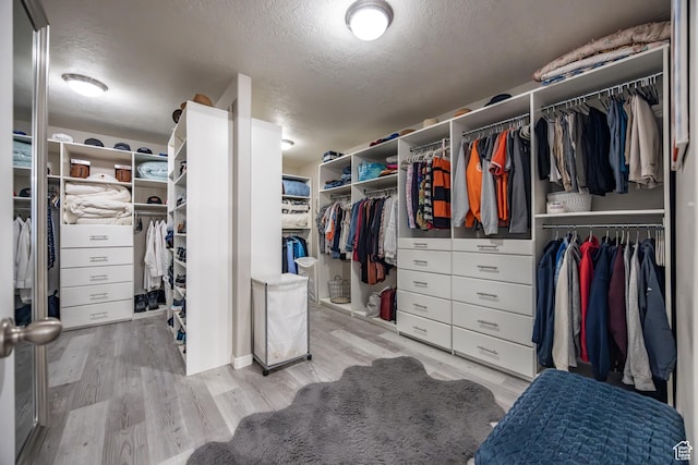 1903 W Wild Wood Ct N, Lehi, UT 84043 - spacious closet featuring light hardwood / wood-style flooring