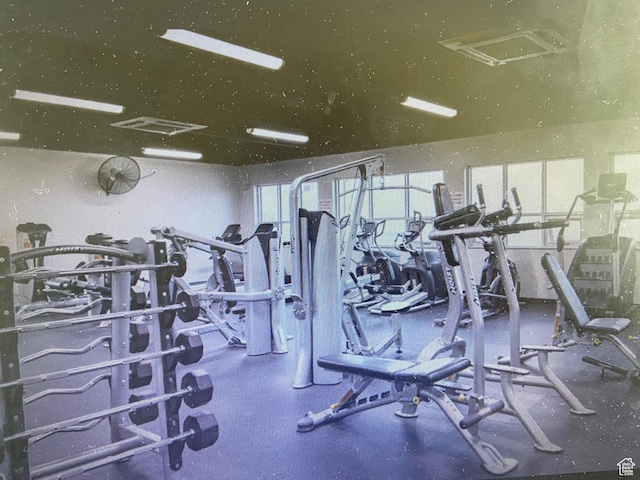 1903 W Wild Wood Ct N, Lehi, UT 84043 - view of exercise room