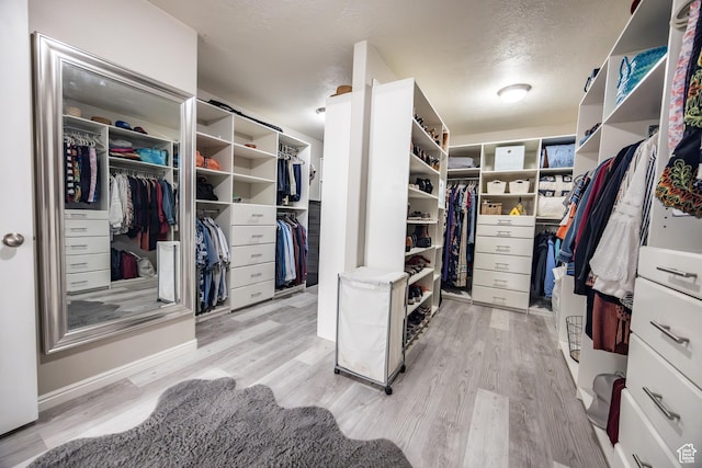 1903 W Wild Wood Ct N, Lehi, UT 84043 - walk in closet with light wood-type flooring