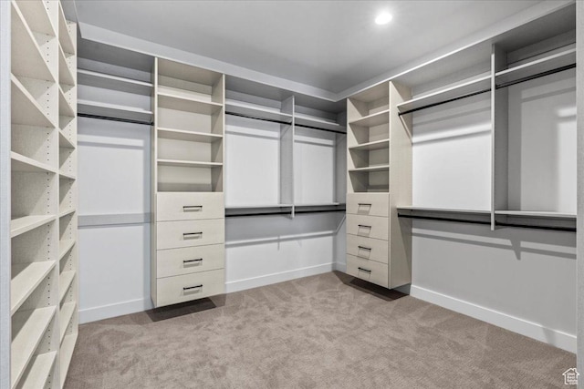 11432 N Fox Hollow Ct Unit 121, Hideout, UT 84036 - walk in closet with carpet flooring