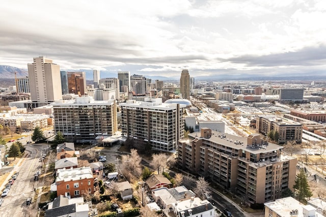 245 N Vine St W Unit 501, Salt Lake City, UT 84103 - view of city