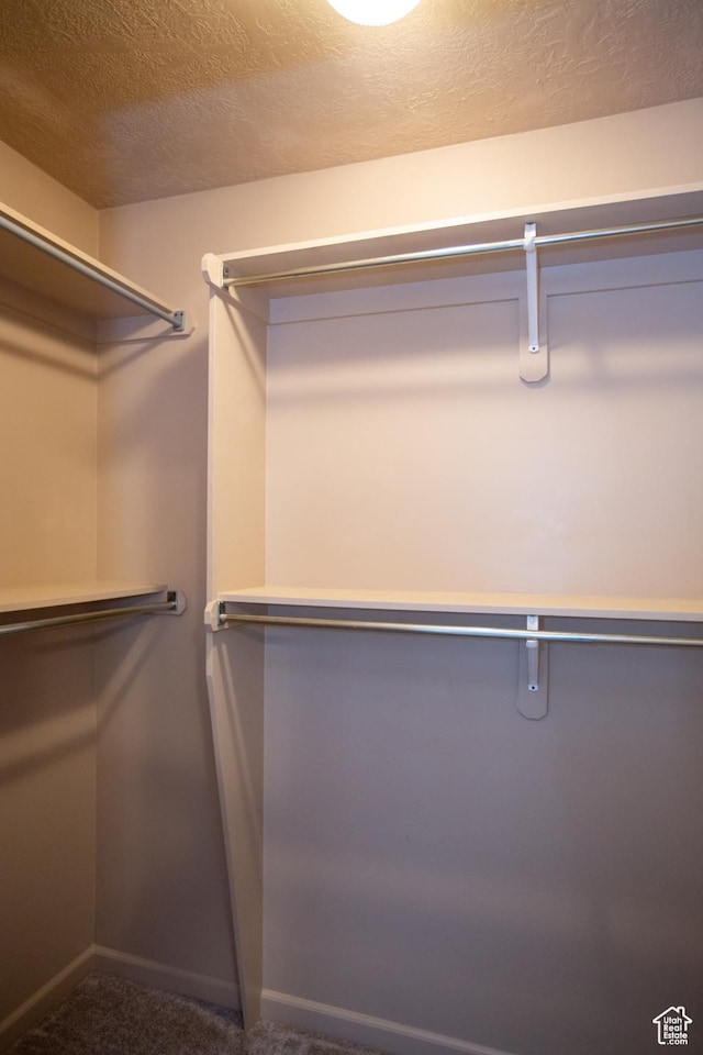 spacious closet with carpet