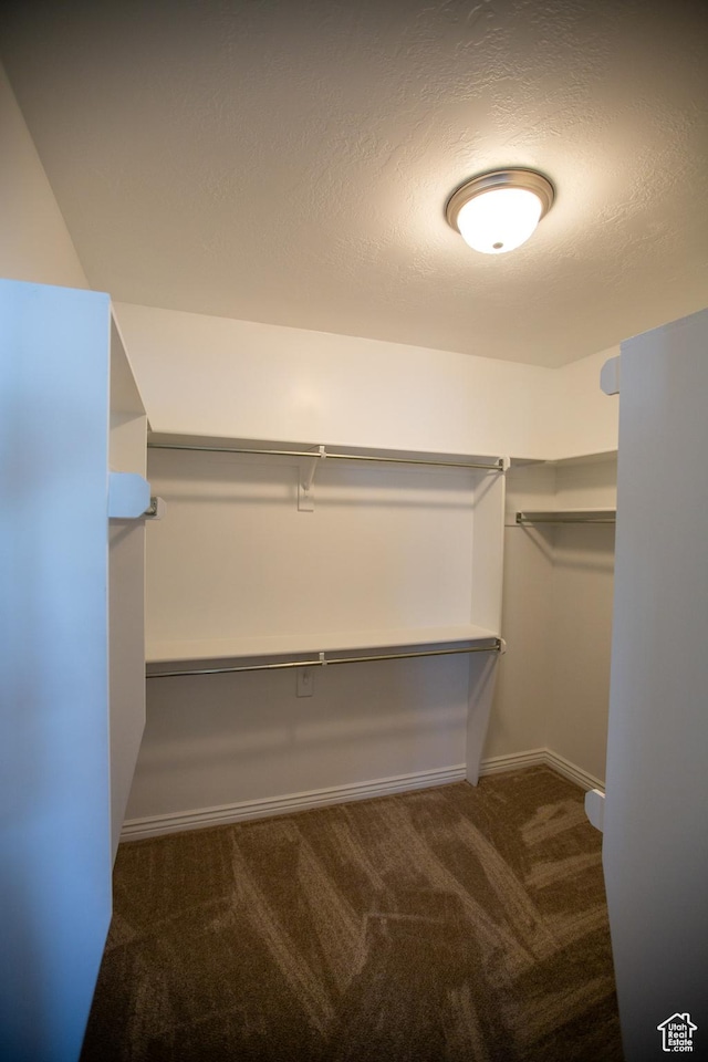 walk in closet featuring carpet