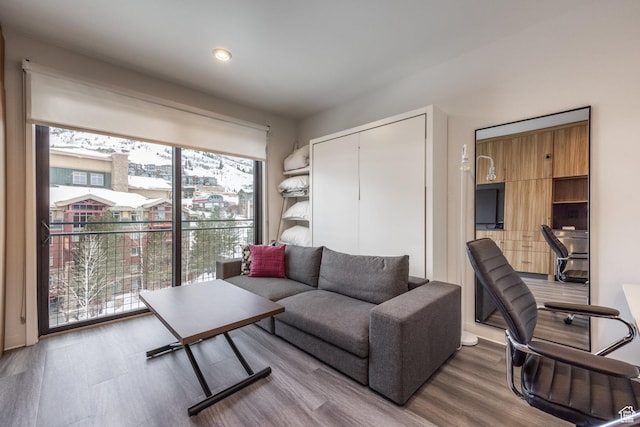 2670 Canyons Resort Dr Unit 420, Park City, UT 84098 - living room featuring hardwood / wood-style floors