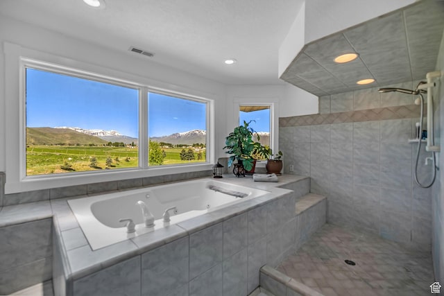 2410 E Center Creek Rd, Heber City, UT 84032 - bathroom with a mountain view and plus walk in shower