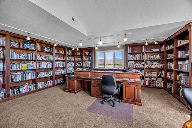 2410 E Center Creek Rd, Heber City, UT 84032 - carpeted home office with a textured ceiling
