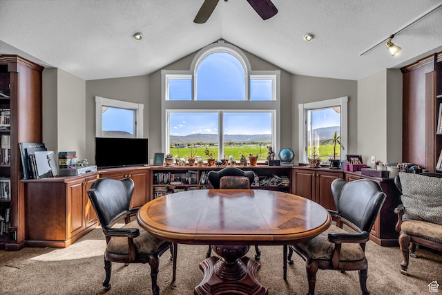 2410 E Center Creek Rd, Heber City, UT 84032 - dining room featuring vaulted ceiling, light carpet, ceiling fan, and a textured ceiling