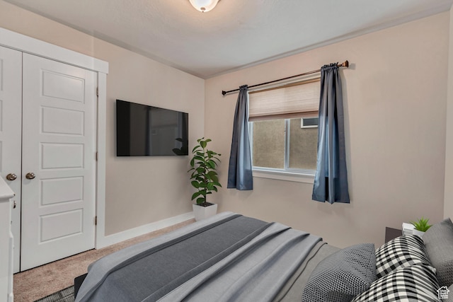 bedroom featuring carpet floors