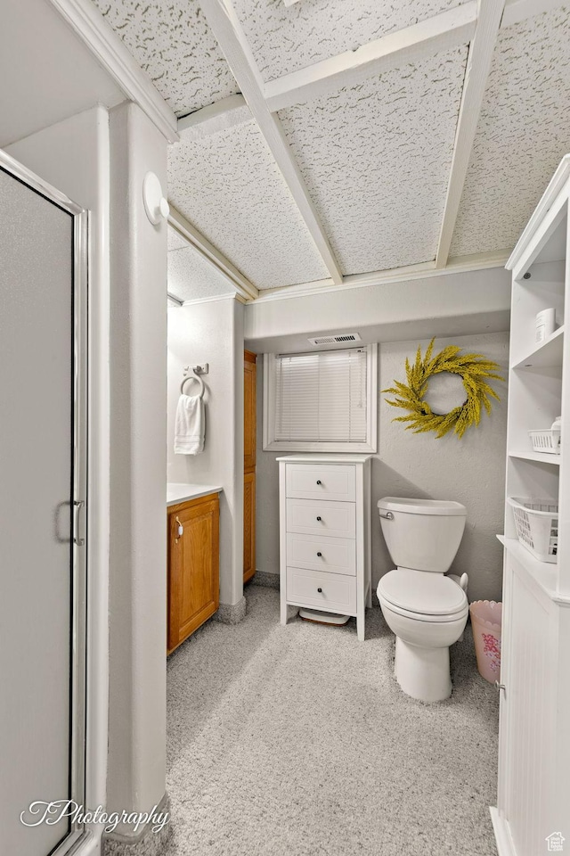 bathroom featuring vanity, an enclosed shower, and toilet