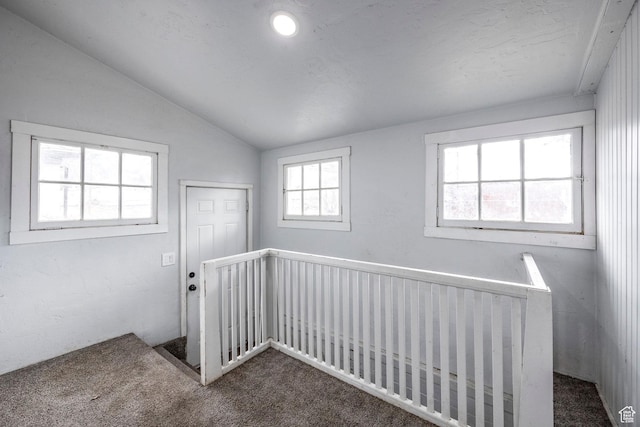 interior space featuring carpet floors, vaulted ceiling, and a closet
