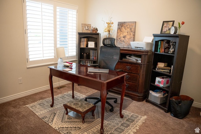 carpeted home office with a wealth of natural light