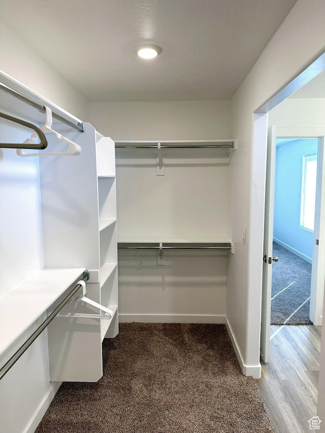 spacious closet with carpet floors