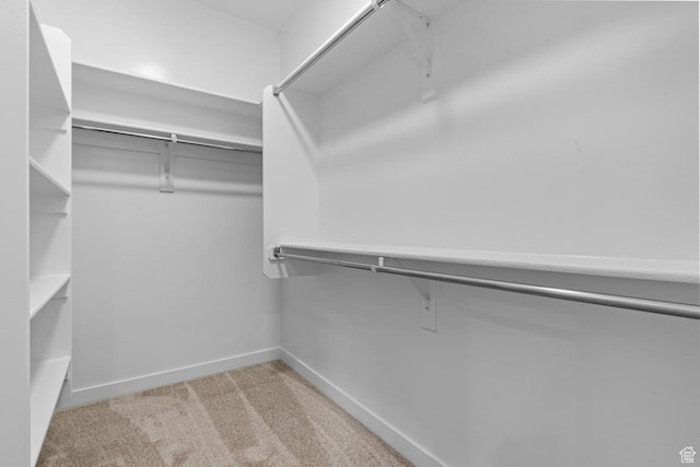 622 W Junegrass Ln, Stansbury Park, UT 84074 - walk in closet with light carpet