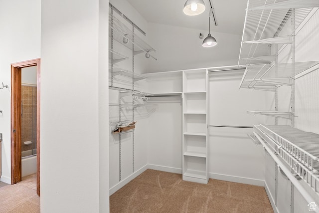 515 Saddle View Way Unit 23, Park City, UT 84060 - spacious closet with light colored carpet