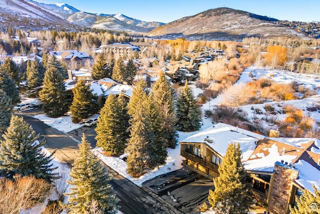 515 Saddle View Way Unit 23, Park City, UT 84060 - snowy aerial view featuring a mountain view