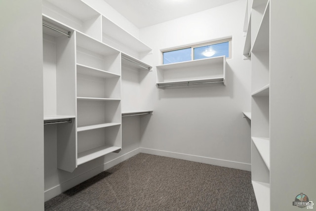 378 W Redstone Ct, Ivins, UT 84738 - walk in closet featuring dark colored carpet