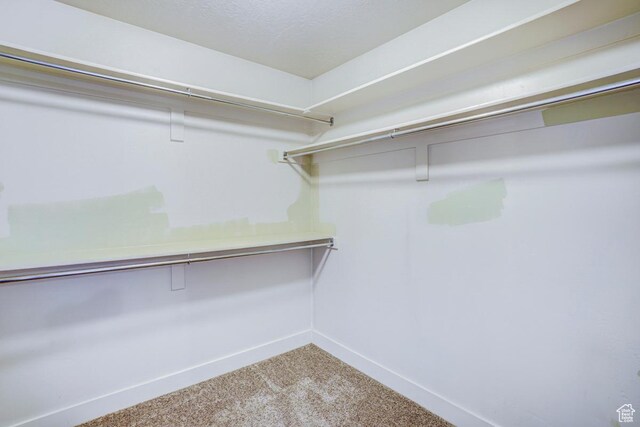 1045 S 1700 W Unit 412, Payson, UT 84651 - walk in closet featuring carpet flooring