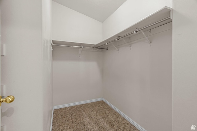 3561 W 290 N, Hurricane, UT 84737 - walk in closet with carpet flooring
