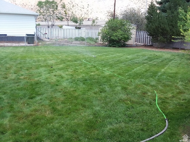 view of yard