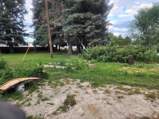 view of yard