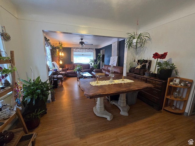 dining room featuring ceiling fan and wood finished floors