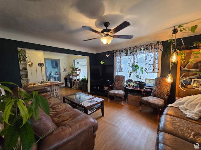 living area featuring a ceiling fan and wood finished floors