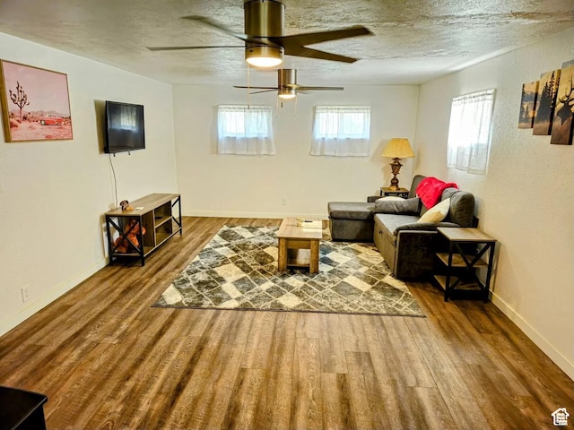 928 Monroe St, Montpelier, ID 83254 - living room with hardwood / wood-style flooring and a textured ceiling
