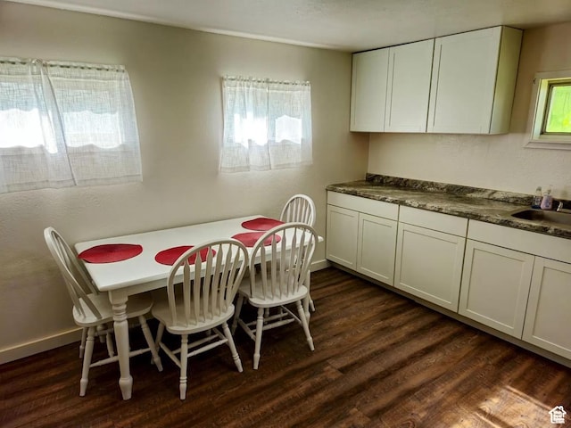 928 Monroe St, Montpelier, ID 83254 - dining space featuring dark hardwood / wood-style flooring and sink