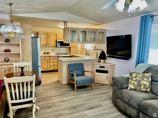 1150 W Red Hills Pkwy Unit 72, Washington, UT 84780 - kitchen featuring stainless steel appliances, open floor plan, a peninsula, vaulted ceiling, and glass insert cabinets