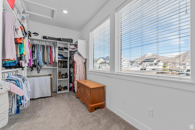 1426 S 1450 W, Mapleton, UT 84664 - walk in closet with carpet floors and attic access