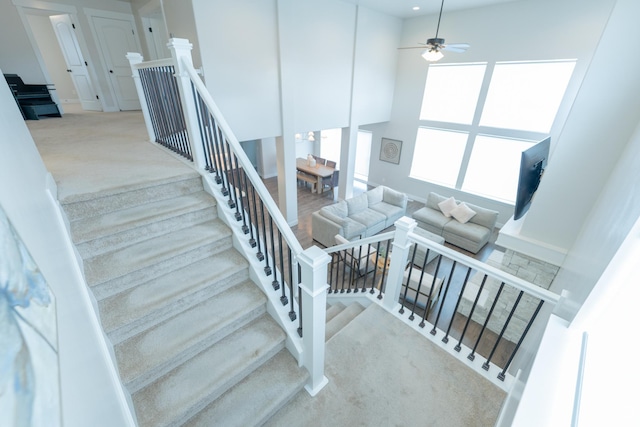 stairway featuring carpet and a ceiling fan