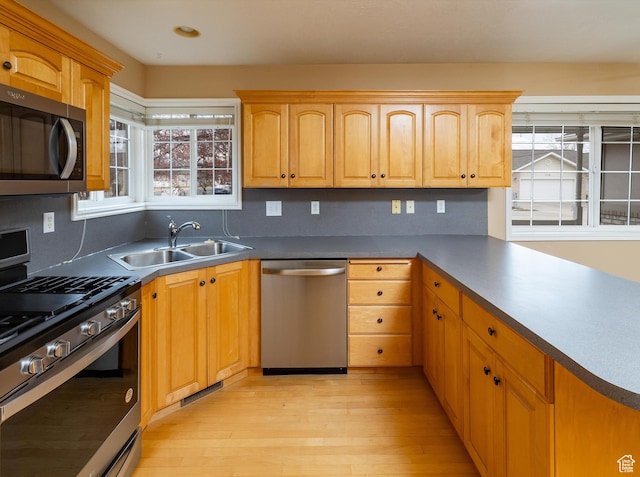 kitchen featuring stainless steel appliances, sink, a wealth of natural light, and light hardwood / wood-style flooring