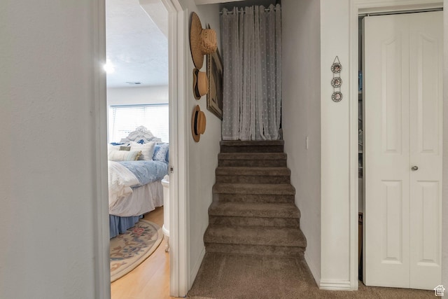 14139 S Radial Ln, Draper, UT 84020 - stairs featuring carpet and baseboards