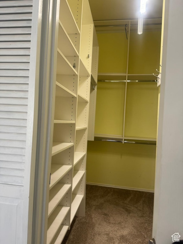 14139 S Radial Ln, Draper, UT 84020 - spacious closet with dark colored carpet