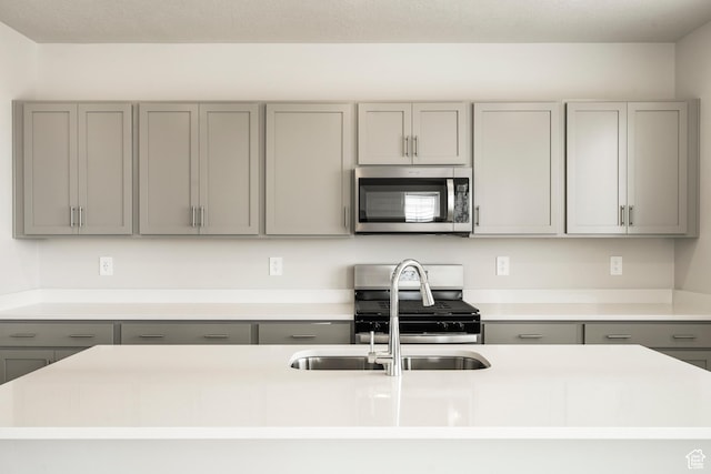 kitchen featuring gray cabinets, stainless steel appliances, a sink, and light countertops