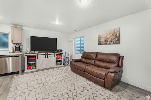 living room featuring light hardwood / wood-style flooring