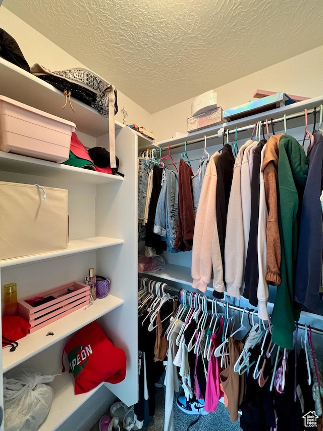 3457 W Hamm Ln, Herriman, UT 84096 - view of walk in closet