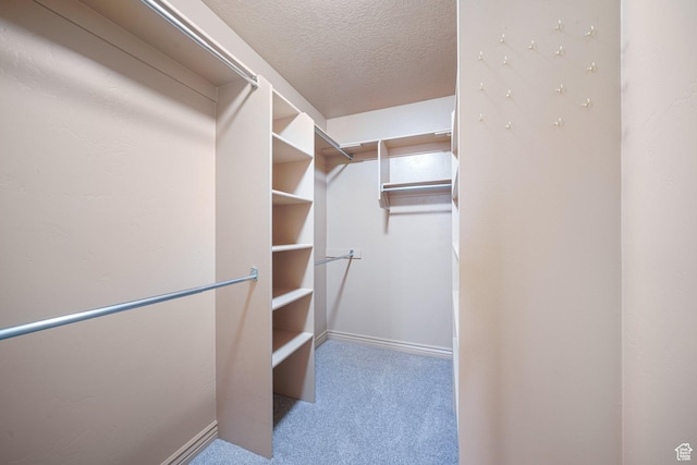 spacious closet with light carpet