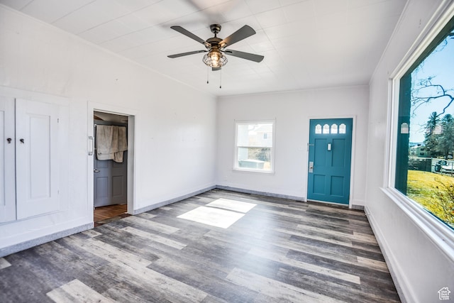 foyer entrance featuring dark hardwood / wood-style floors and ceiling fan