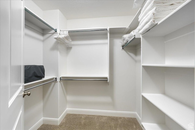 walk in closet featuring light carpet