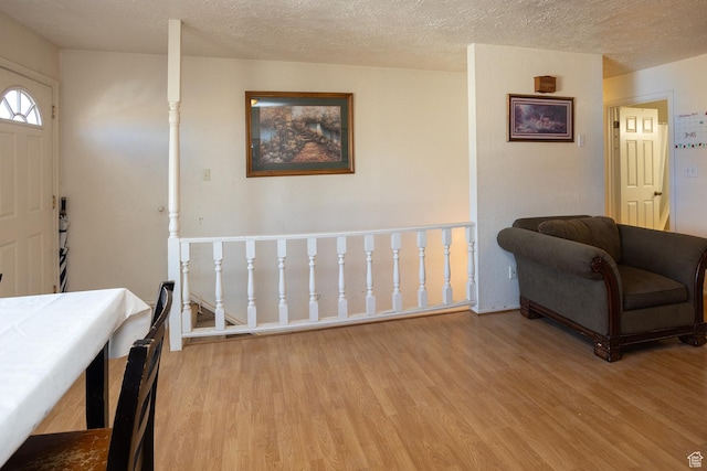 1904 N Rocky Ford Rd, Sigurd, UT 84657 - foyer entrance with a textured ceiling and light wood-type flooring
