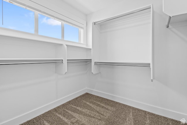 1246 W 575 S Unit 154, Logan, UT 84321 - spacious closet with carpet flooring